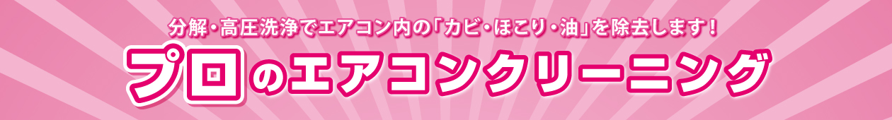 プロのエアコンクリーニング プロのエアコンクリーニング
