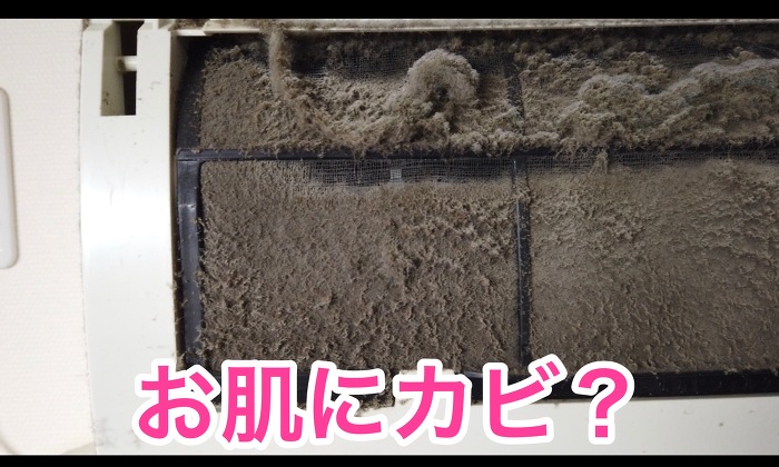 GARN[jO@ꉿi