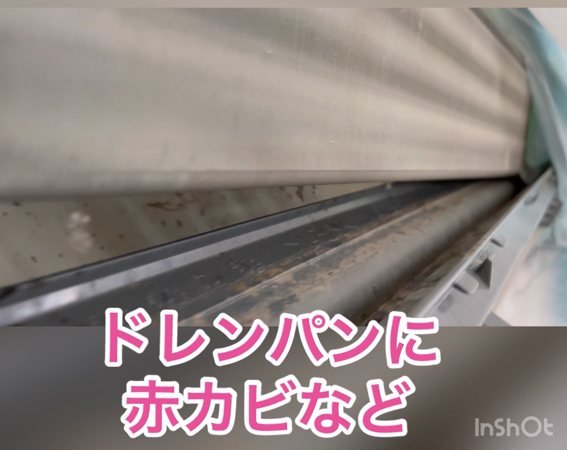 三菱エアコンドレンパンクリーニング 三菱エアコンドレンパンクリーニング