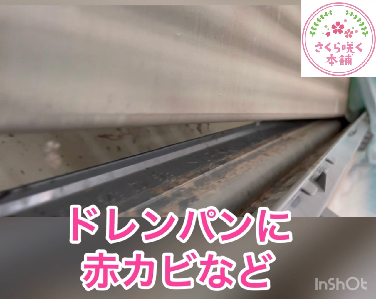 エアコンクリーニング ドレンパン エアコンクリーニング ドレンパン
