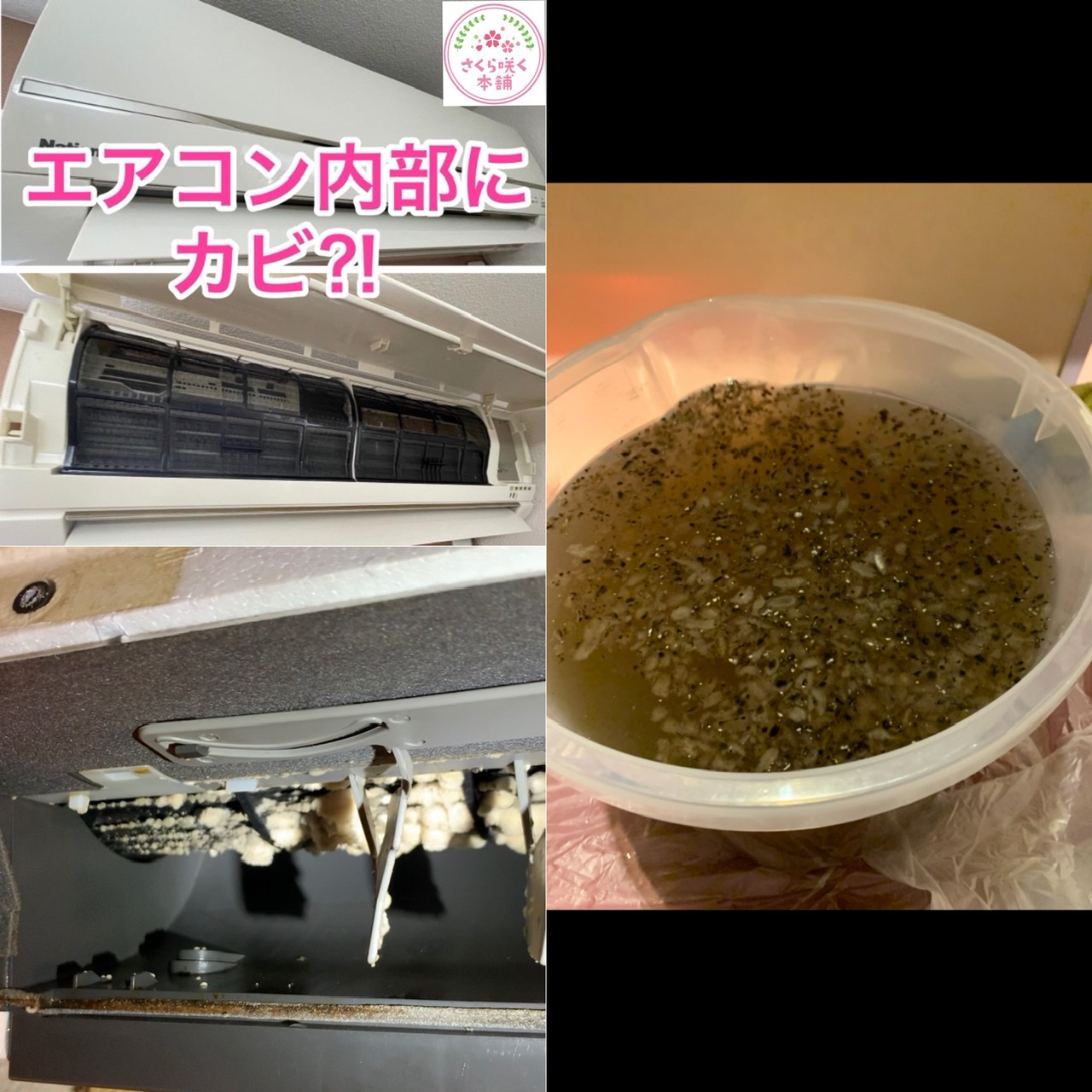 エアコンクリーニング カビ エアコンクリーニング カビ