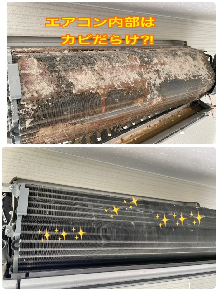 エアコン内部 カビ エアコン内部 カビ