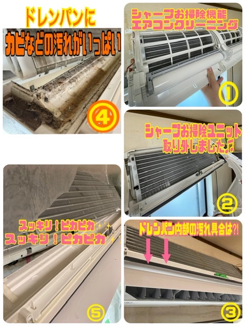 エアコンクリーニング ドレンパン エアコンクリーニング ドレンパン